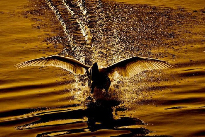 Дивная красота нашей матушки-Земли от Михалыча