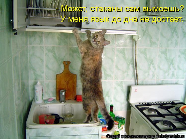 Котоматрица - Послушна и добра душа моя -  Тем злее и вредней второе Я!