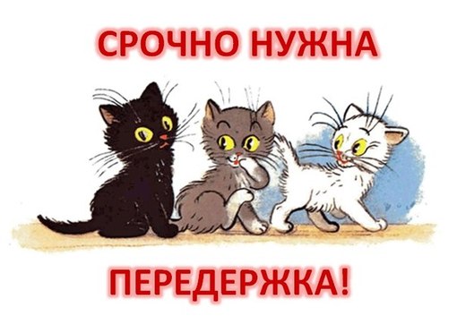 То, чего опасались неравнодушные к судьбе малышей, - случилось! Но, всё таки, их ещё можно спасти! То, чего опасались неравнодушные к судьбе малышей, - случилось! Но, всё таки, их ещё можно спасти!