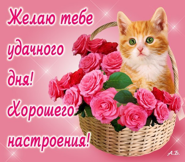 Картинка открытку в одноклассниках Картинка открытку в одноклассниках