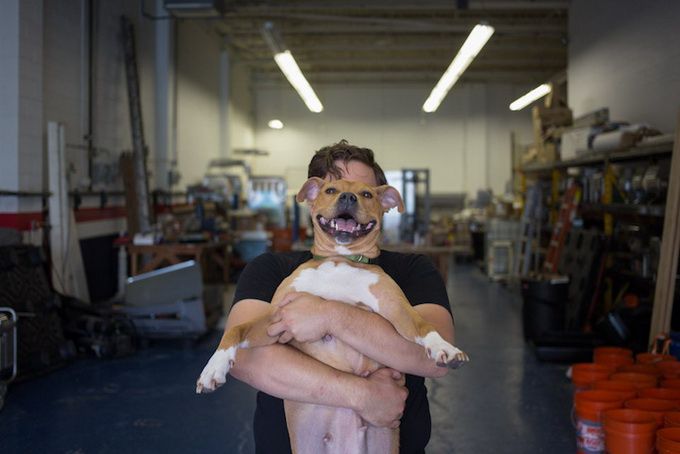 животные, отношения, люди, приют