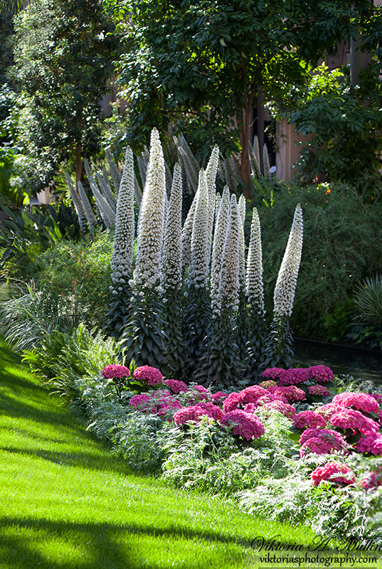 LONGWOOD GARDENS- !!!!