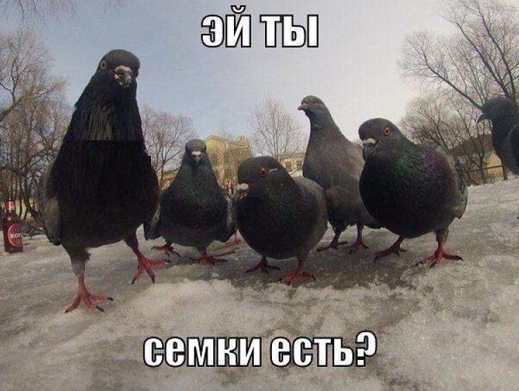 Глядя на эти фото, ты будешь смеяться так, что сбегутся соседи! Глядя на эти фото, ты будешь смеяться так, что сбегутся соседи!