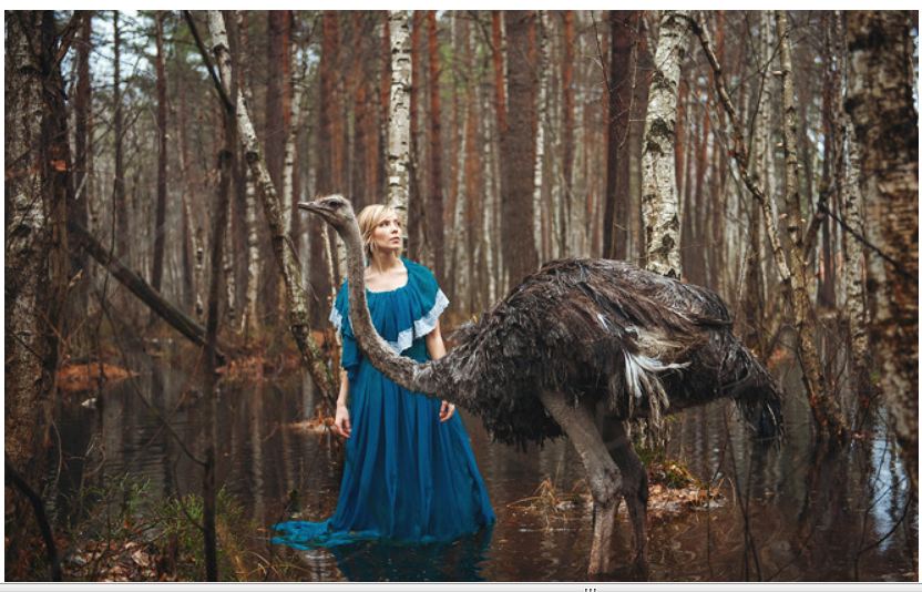 Фотограф Ольга Баранцева снимает портреты с настоящими животными Фотограф Ольга Баранцева снимает портреты с настоящими животными