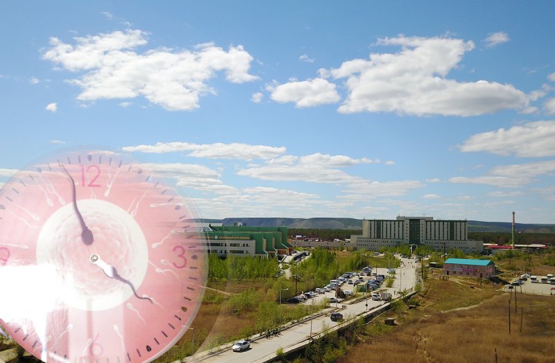 банк донорского материала