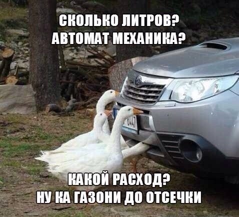 Автоюмор в картинках