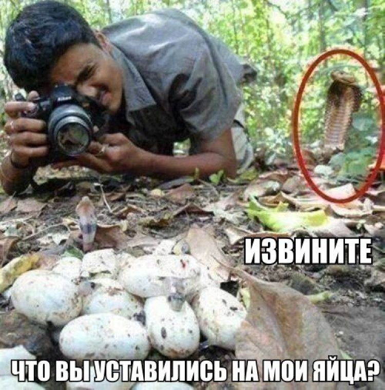 Глядя на эти фото, ты будешь смеяться так, что сбегутся соседи! Глядя на эти фото, ты будешь смеяться так, что сбегутся соседи!