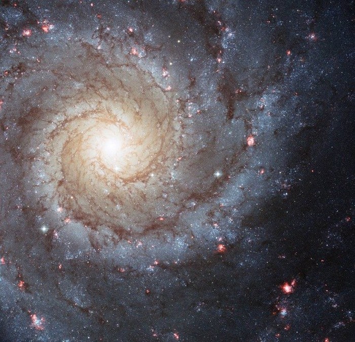 Messier 74 - галактика для Санты. Messier 74 - галактика для Санты.