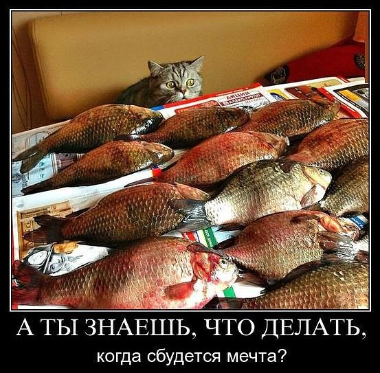 Василиса Прекрасная была приятно удивлена, когда узнала... Василиса Прекрасная была приятно удивлена, когда узнала...