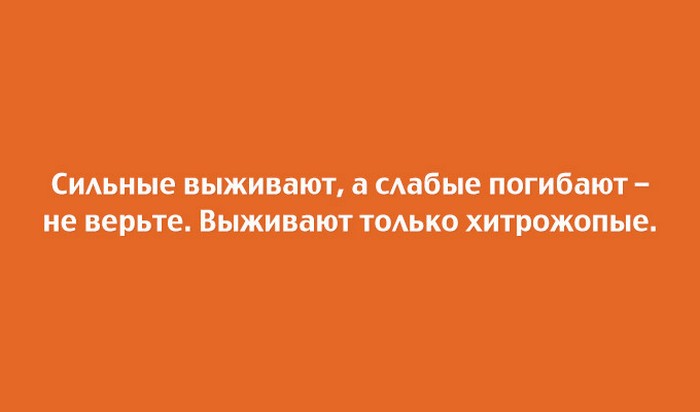 15 юмористических открыток с неожиданным финалом