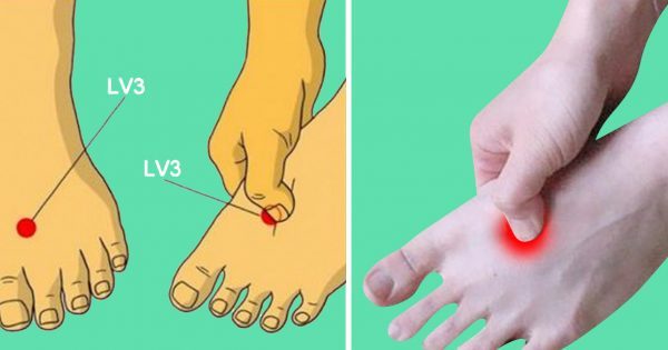 thumb1-600x315 (1)
