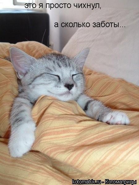 котомашечки от Лисицы))