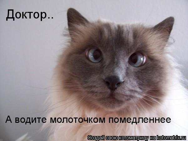 Ура!! Пятница - котоматрица!!! Ура!! Пятница - котоматрица!!!
