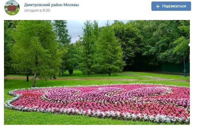 Клумбу возле Большого Ангарского пруда «короновали»
