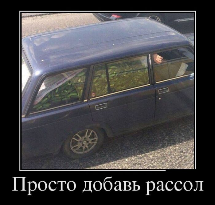 Демотиваторы Демотиваторы