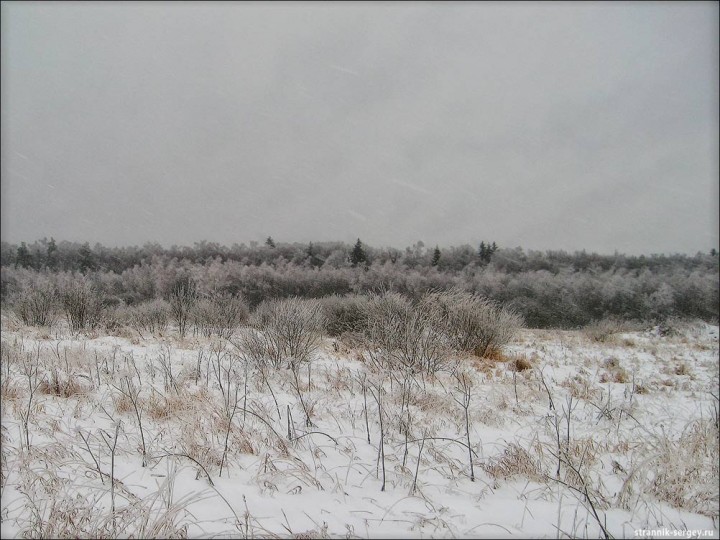 Редкое явление природы - после ледяного дождя