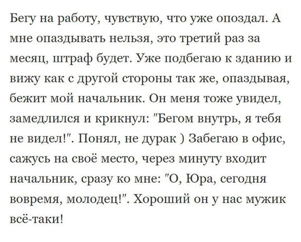 15+ веселых историй, которые стопроцентно подарят вам хорошее настроение