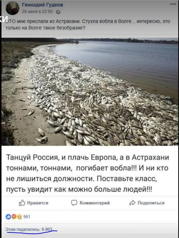 Другой оппозиции в России пока нет Другой оппозиции в России пока нет