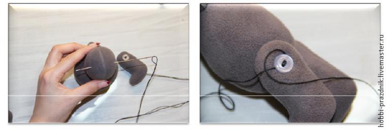 �����: ���� �������