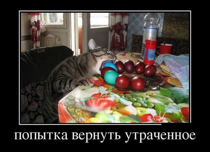 Демотиваторы.Смешные, грустные, жизненные.... Демотиваторы.Смешные, грустные, жизненные....