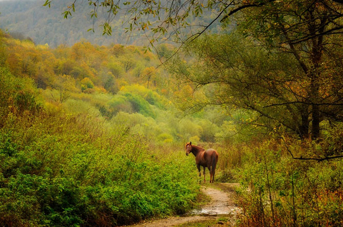 Лучшее с АdMe Photo Awards 2014 за неделю