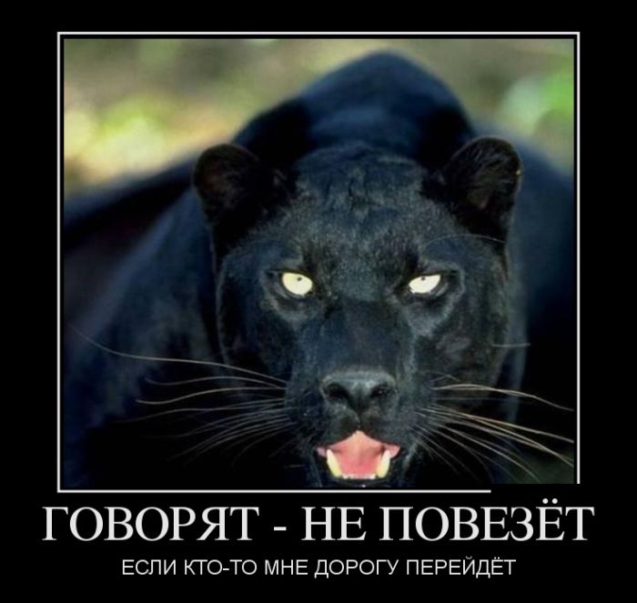 Демотиваторы подборочкой для хорошего настроения (много, чтоб не скучно было) Демотиваторы подборочкой для хорошего настроения (много, чтоб не скучно было)