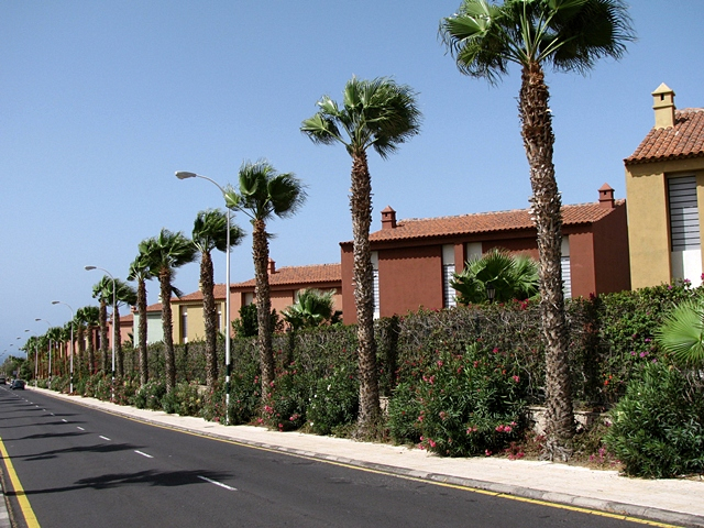 Tenerife 4 (640x480, 403Kb)