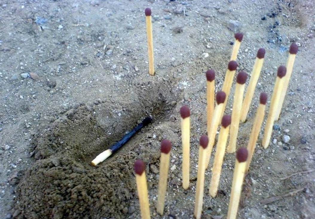 Я бы спросил, что здесь происходит, но боюсь узнать правду Я бы спросил, что здесь происходит, но боюсь узнать правду