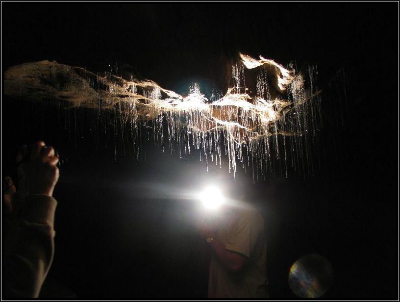 пещера, Новая зеландия, интересно