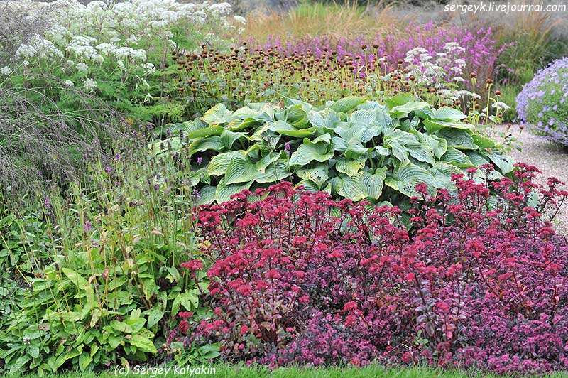 Trantham Gardens 330.JPG Trantham Gardens 330.JPG