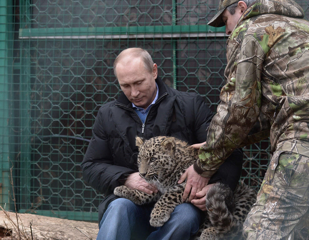 PutinLookingAt21 Как Владимир Путин смотрит на вещи