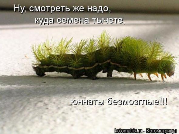 �����������(�������� � ���������)