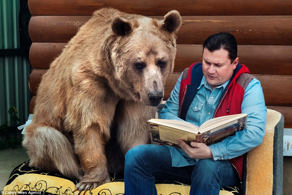 One of the family: Standing at more than seven foot, the large mammal has been domesticated by the couple and is now aged 23