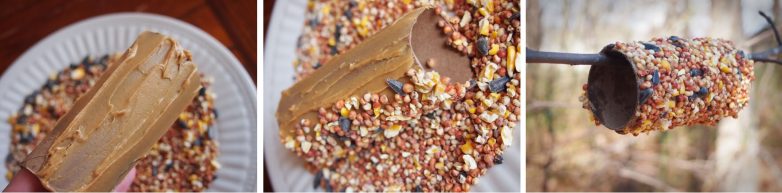 Кормушки для птиц, которые можно сделать своими руками Кормушки для птиц, которые можно сделать своими руками