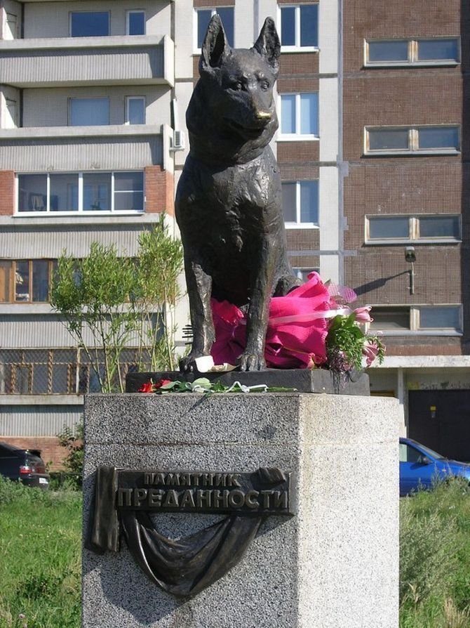Пёс, который ждал у дороги хозяина целых 7 лет
