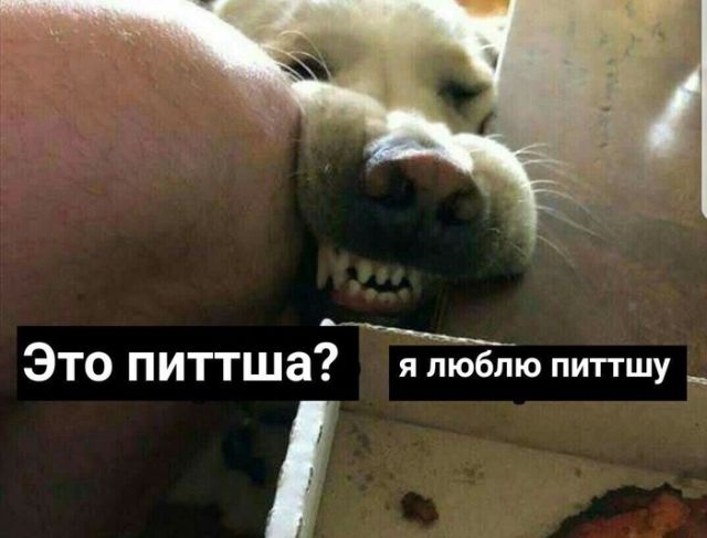 Подборка картинок Подборка картинок