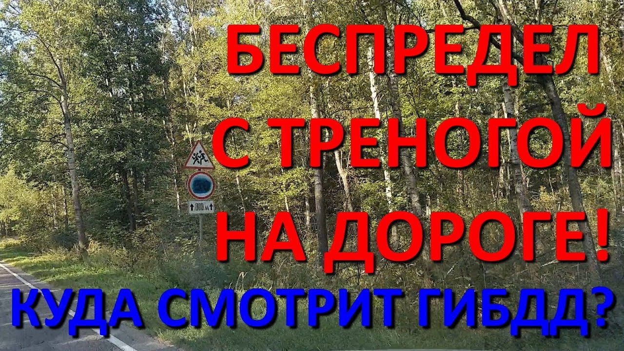 Беспредел с треногой на дороге!