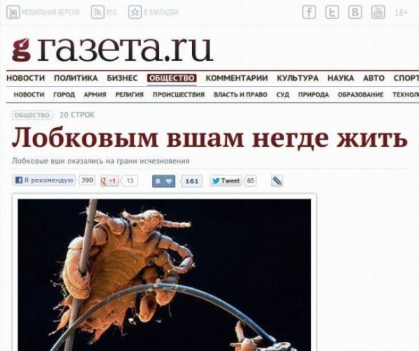 маразм, юмор, заголовок, СМИ