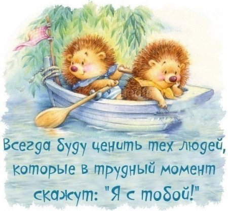 Премудрости в картинках, умные и смешные фразы.