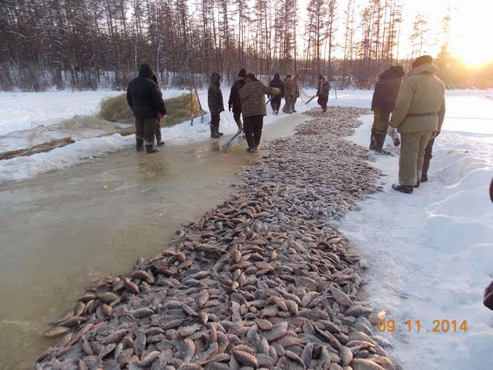 Зима Январь Зимняя рыбалка на карася , ловля в палатке. My fishing — Video