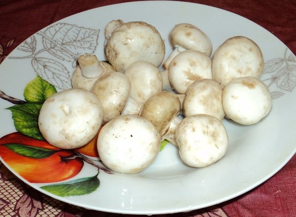 Сырный суп Сырный суп