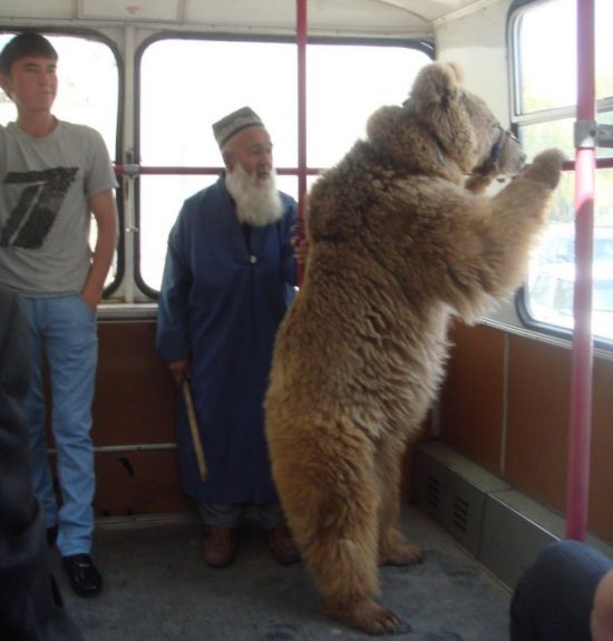 Занятные факты из разных областей - Фото