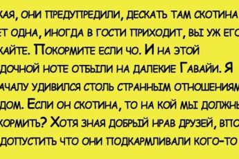 Скотина. Знакомые улетали в отпуск и оставили ключи от дачи.