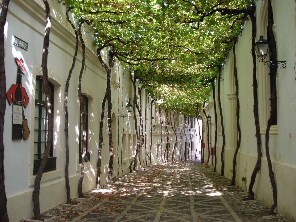 ������ ��������� ����� �� ����� ����