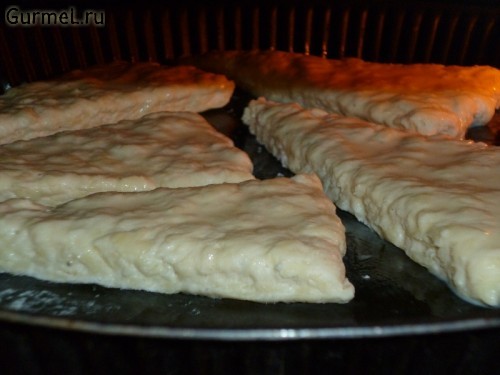 P1100258-500x375 (500x375, 36Kb)