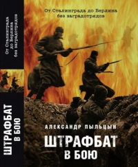 Штрафбат в бою. От Сталинграда до Берлина без заградительных отрядов