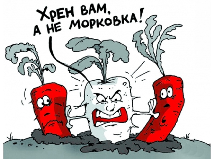 О даче с юмором. О даче с юмором.