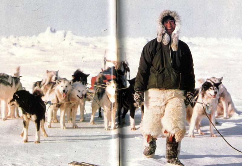 Наоми Уэмура
К 29 годам японский путешественник покорил пять из семи высочайших точек разных континентов. В 1972 году на 9 месяцев он переселился в Гренландию, где жил вместе с эскимосами и изучал езду на собачьих упряжках. Применив полученный опыт во время путешествий по Канаде и Аляске, Наоми Уэмура начал готовиться к одиночной поездке на Северный полюс. Перемещался он на ездовых собаках, а все необходимое снаряжение и продукты ему периодически доставляли самолетом. Пункта назначения Наоми Уэмура достиг после 55 дней пути.