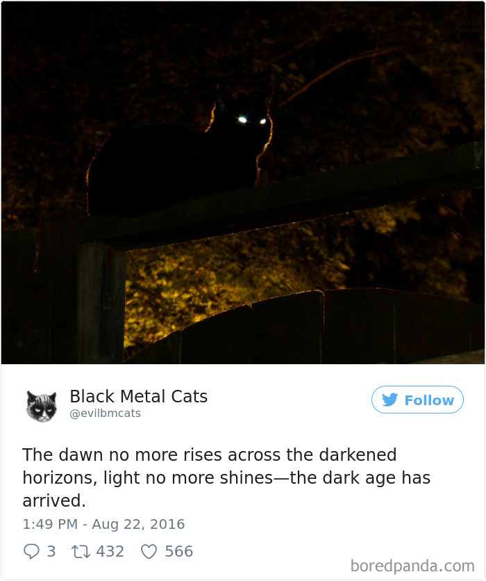 Black-metal-cats-lyrics-tweets