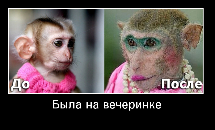 Позитивные и веселые демотиваторы для настроения (10 фото) Позитивные и веселые демотиваторы для настроения (10 фото)